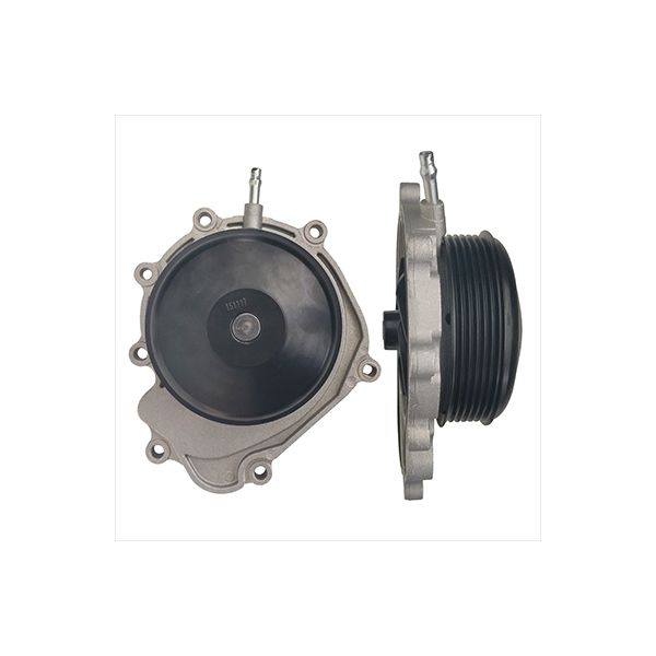 Gates WP0179 Water Pump