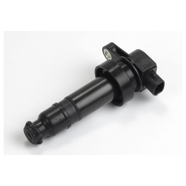 Cambiare VE520466 Ignition Coil