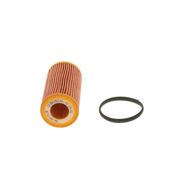 Bosch 1457429243 Oil Filter