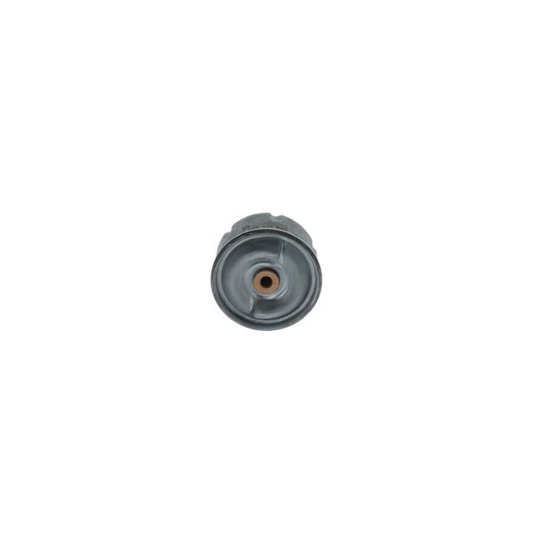 Bosch F026407099 Oil Filter