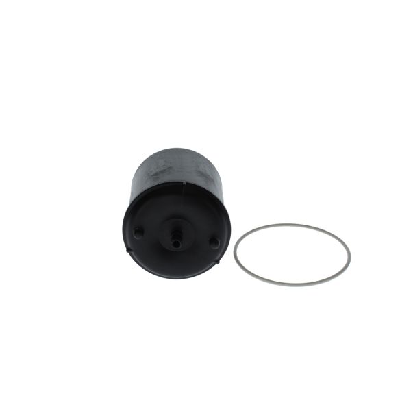 Bosch F026407119 Oil Filter