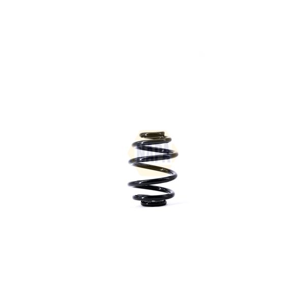 NAPA NCS1469 Coil Spring
