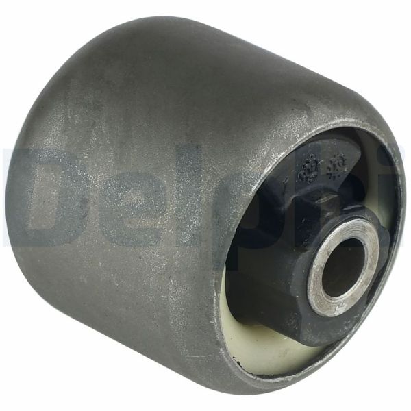 Delphi TD892W Axle Beam Mount