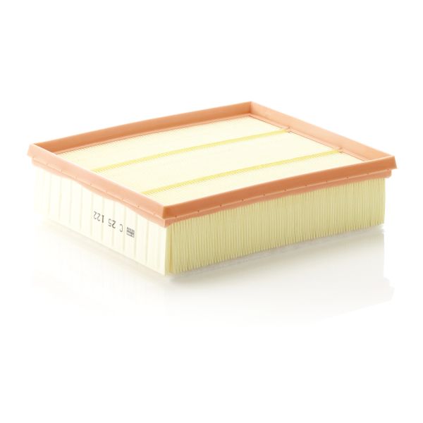 Mann C25122 Air Filter