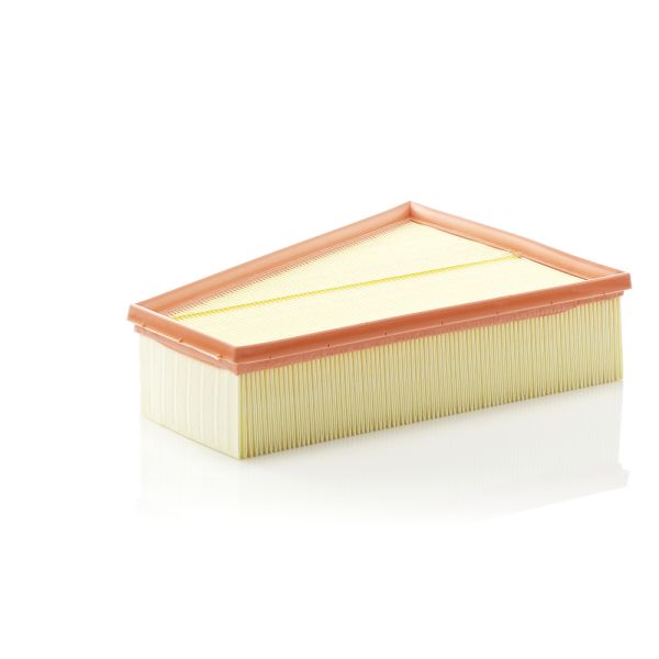 Mann C30161 Air Filter