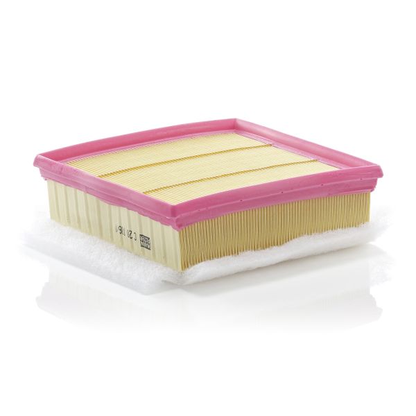Mann C20106/1 Air Filter