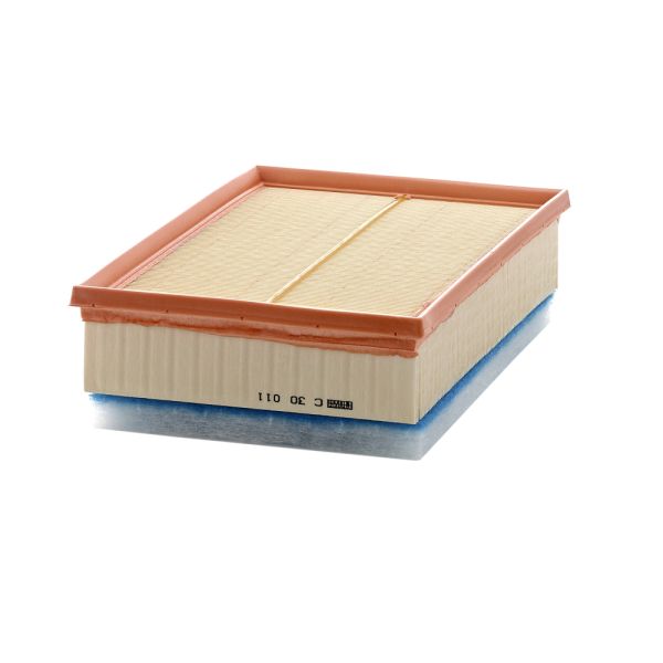 Mann C30011 Air Filter