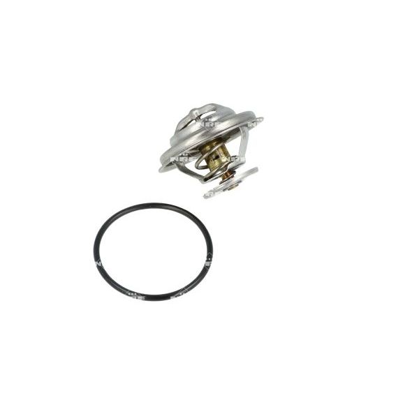 NRF 725073 Coolant Thermostat