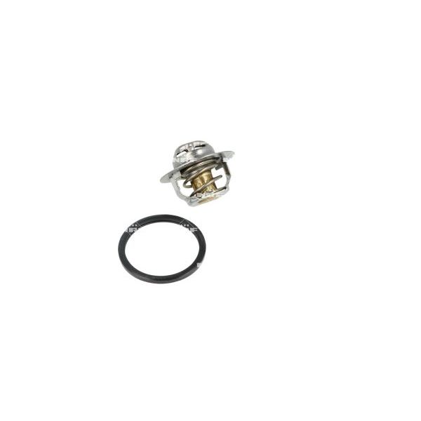 NRF 725089 Coolant Thermostat
