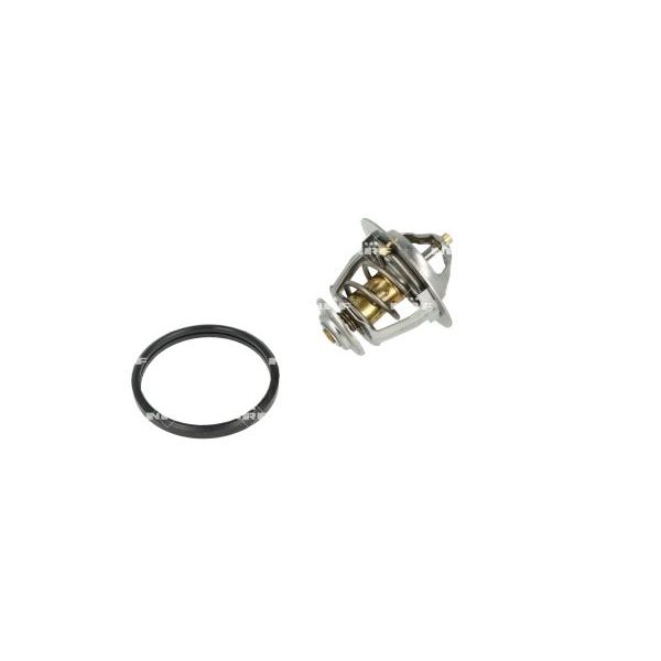 NRF 725131 Coolant Thermostat