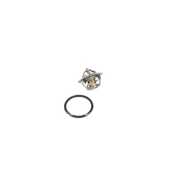 NRF 725149 Coolant Thermostat