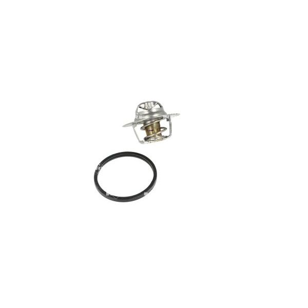 NRF 725156 Coolant Thermostat