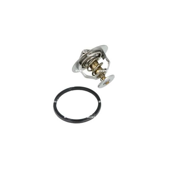 NRF 725176 Coolant Thermostat