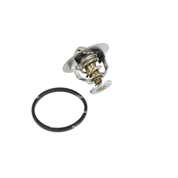 NRF 725246 Coolant Thermostat