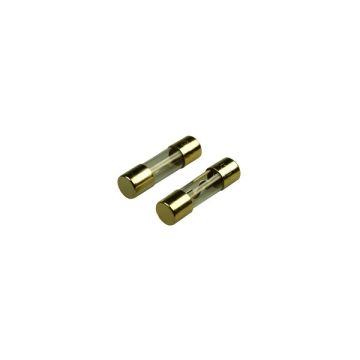 Celsus F30 Fuse 30amp Agu X2