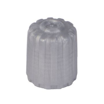 Autogem TPK403 TPMS VALVE CAPS (PLASTIC) 100PCS