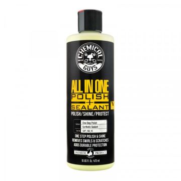 Chemical Guys GAP10616 V4 All In One Polish And Sealant
