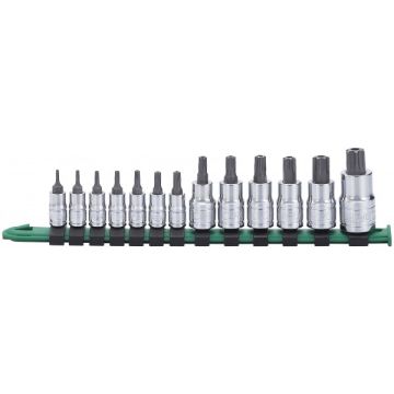 Carlyle 13 Pc Tamper Proof Bit Socket Set BSTH13