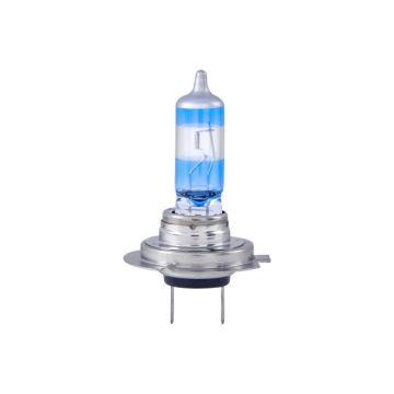 NAPA NBU41577 H7 Headlight Bulb