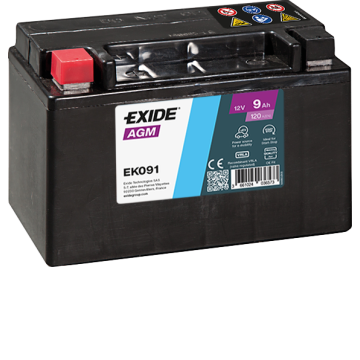 Exide EK091 AGM Auxiliary Battery