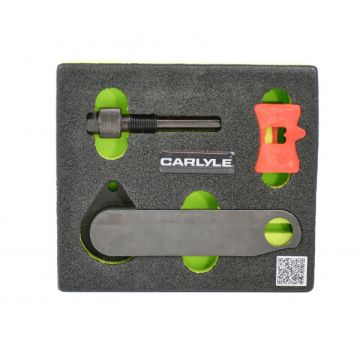 Carlyle C5269 Engine Check Kit Vag Petrol