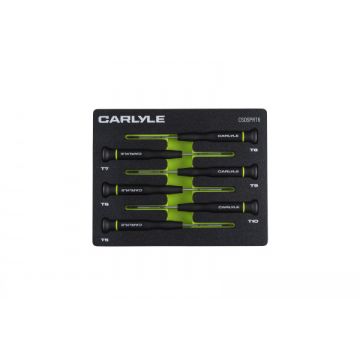 Carlyle CSDSPRT6 6 Pc Precision Torx Driver Set
