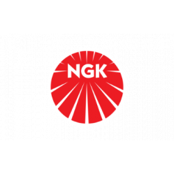Brand image for NGK