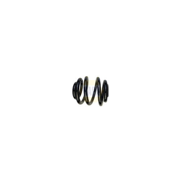 Coil Spring image